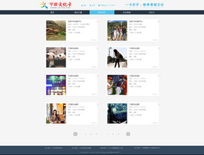 宁波文化卡官网设计1